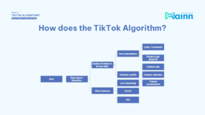 How Does The TikTok Algorithm Work